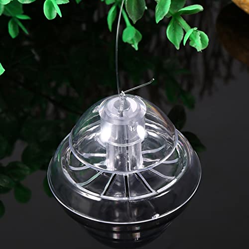 CaCaCook Fischfalle Assassin zum Verkauf, 12 × 8 × 6, Umweltfalle für Aquarienfische, Planarien, tropische Kaltwasserschädlinge CaCaCook Fischfalle Assassin zum Verkauf, 12 × 8 × 6, Umweltfalle für Aquarienfische, Planarien, tropische Kaltwasserschädlinge von CaCaCook