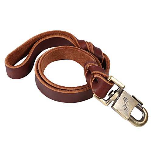 Hundeleine, 1 Stück, Weiches Leder-Hundehalsband und Geflochtene Leine, 2,5 cm Breit, Haustierkette, 90 Cm/120 Cm/150 cm Länge (2,5 * 90 cm) von CaCaCook