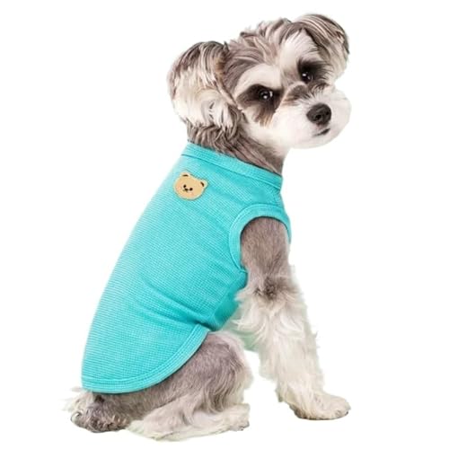 Hundepullover Sommer Coole Hundekleidung, solides Hunde-T-Shirt, Haustierkleidung, modische Welpenweste, niedliche Bären-Druckkleidung(Blue,XL) von CaFfen