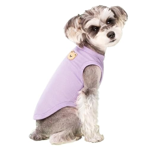Hundepullover Sommer Coole Hundekleidung, solides Hunde-T-Shirt, Haustierkleidung, modische Welpenweste, niedliche Bären-Druckkleidung(Purple,M) von CaFfen