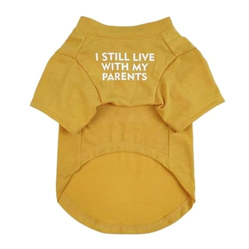 Hundepullover T-Shirt mit Buchstabendruck, gemütliche Baumwolle, Hundekleidung, Katzenkleidung(Yellow,XXL) von CaFfen