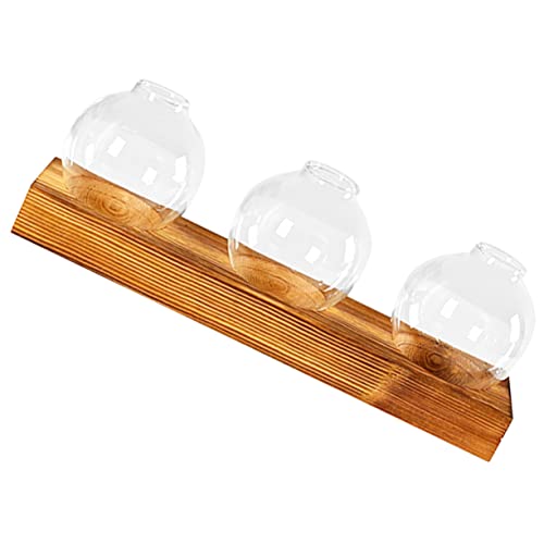 Cabilock S 1 Set Pflanzenanzuchtstation Aus Glas Mit Ständer Für Zimmerpflanzen-terrarien von Cabilock