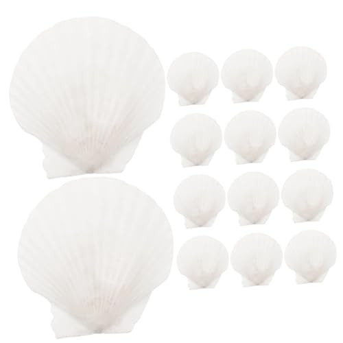 Cabilock 16stücke Große Naturmuscheln Für Basteln Und Dekoration Scallops Zum Selbermachen Für Heimwerkerbedarf Meeresmuscheln Für Aquarien Und Partys Cabilock 16stücke Große Naturmuscheln Für Basteln Und Dekoration Scallops Zum Selbermachen Für Heimwerkerbedarf Meeresmuscheln Für Aquarien Und Partys von Cabilock