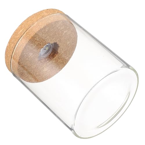 Cabilock 1Stk Landschaftsflasche Glasflasche Glasterrarien für Pflanzen Terrarium Aquarium Landschaftsbastelflasche dekorative Glasvase Hohes Borosilikat Fischflasche Betta-Panzer Container Cabilock 1Stk Landschaftsflasche Glasflasche Glasterrarien für Pflanzen Terrarium Aquarium Landschaftsbastelflasche dekorative Glasvase Hohes Borosilikat Fischflasche Betta-Panzer Container von Cabilock