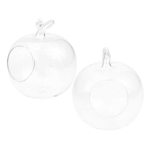 Cabilock 2 Stück Kleine Hydroponik-glasvasen Transparent für Micro-Landschaft Vielseitiger Desktop-Terrarium-behälter aus Glas Dekorative Hydrokultur Pflanzenvase für Zuhause und Büro von Cabilock