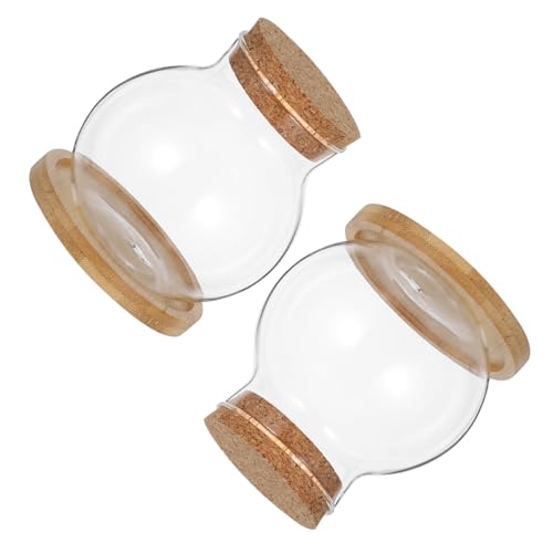 Cabilock 2Er Set Hydrokulturvase Fischtank Für Pflanzen Tischaquariumdeckel Betta Tank Hydrokultur Wasserpflanzer Glasfischglas Glasanzuchtvase Glas Betta Fischglas Bambus von Cabilock