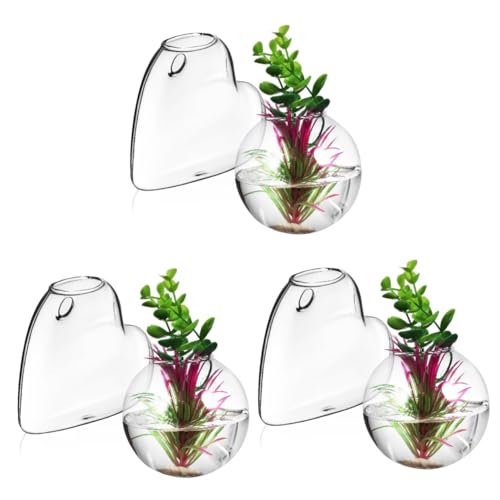 Cabilock 3 Sätze Glasvase Wandpflanzgefäß Wandfischschale Einfache Wandmontage Glaswandpflanzer Wanddekorationen Pflanzentopf Aus Glas Wandvase Für Blumen Ausbreitungsstationen 2 Stück * 3 Cabilock 3 Sätze Glasvase Wandpflanzgefäß Wandfischschale Einfache Wandmontage Glaswandpflanzer Wanddekorationen Pflanzentopf Aus Glas Wandvase Für Blumen Ausbreitungsstationen 2 Stück * 3 von Cabilock