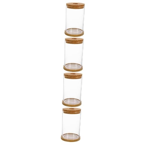 Cabilock 4sätze Glas-Terrarium Mit Korken Dekoratives Pflanzengefäß Für Kreative Landschaften Für Zimmerpflanzen Und Garten Stabil Und Langlebig Umweltfreundliches Design Cabilock 4sätze Glas-Terrarium Mit Korken Dekoratives Pflanzengefäß Für Kreative Landschaften Für Zimmerpflanzen Und Garten Stabil Und Langlebig Umweltfreundliches Design von Cabilock