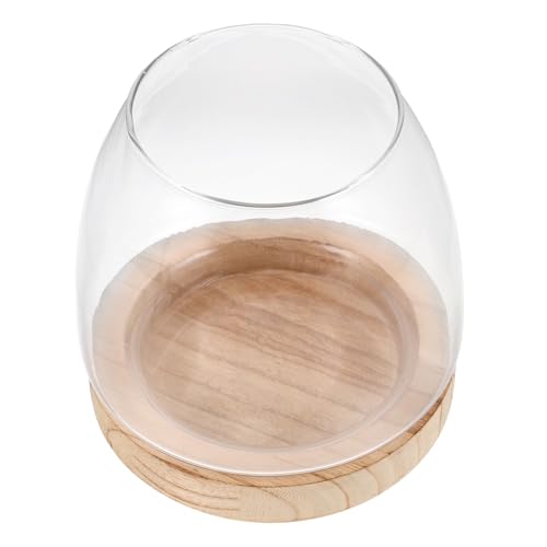 Cabilock Glas-Fischglasvase: Mikro-Landschafts-Hydrokultur-Anzuchtvase, Aquarium-Dekoration – transparentes kleines Desktop-Aquarium für Betta Cabilock Glas-Fischglasvase: Mikro-Landschafts-Hydrokultur-Anzuchtvase, Aquarium-Dekoration – transparentes kleines Desktop-Aquarium für Betta von Cabilock