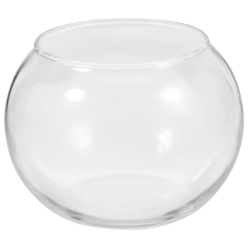 Cabilock Glas Tischdeckenklammern Party Micro Sukkulente Ökologische Vase Station Landschaft cm Schalen Topf Blumenschale Microlandschaft Terrarium Fasching Fisch Sukkulenten von Cabilock