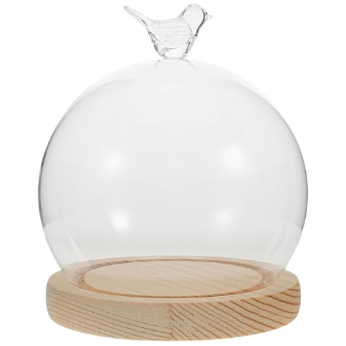 Cabilock Glasglocke mit Sockel, 14 cm, dekorative Vitrine für Ton, Pflanzen, Sukkulenten, Kristall, Weihnachten von Cabilock
