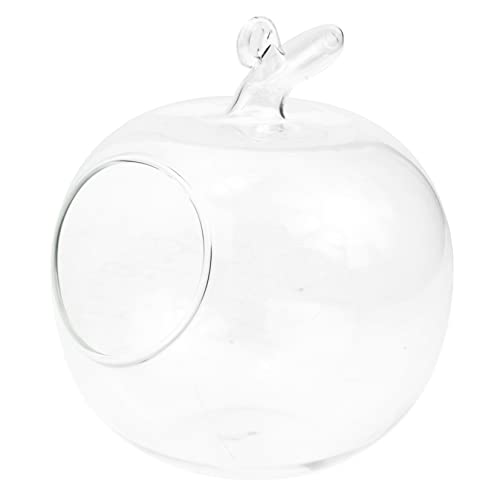 Cabilock Glasvase Für Mikro-landschaftsterrarium DIY Sukkulenten-Terrarium Leere Glasflasche Bryophytenbehälter Ökologische Flasche Für Haus Und Garten Cabilock Glasvase Für Mikro-landschaftsterrarium DIY Sukkulenten-Terrarium Leere Glasflasche Bryophytenbehälter Ökologische Flasche Für Haus Und Garten von Cabilock
