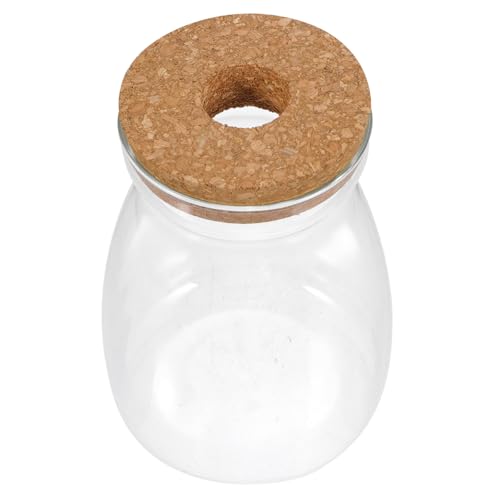 Cabilock Glasvase für Pflanzen Terrarium Großes Ökosystem Behältnis Transparente Deko Flasche für Sukkulenten und Zimmerpflanzen für Miniaturgärten und Innenräume Cabilock Glasvase für Pflanzen Terrarium Großes Ökosystem Behältnis Transparente Deko Flasche für Sukkulenten und Zimmerpflanzen für Miniaturgärten und Innenräume von Cabilock