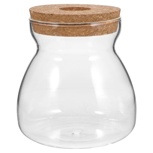 Cabilock Mikro-Landschaft, ökologische Flaschenpflanze, Terrarium, Glasterrarium, Mikro-Landschaft, Terrarium, Hydrokulturpflanzen, Behälter, Terrarium, Glasbehälter, Ökosystem-Terrarium, Glasgefäß Cabilock Mikro-Landschaft, ökologische Flaschenpflanze, Terrarium, Glasterrarium, Mikro-Landschaft, Terrarium, Hydrokulturpflanzen, Behälter, Terrarium, Glasbehälter, Ökosystem-Terrarium, Glasgefäß von Cabilock