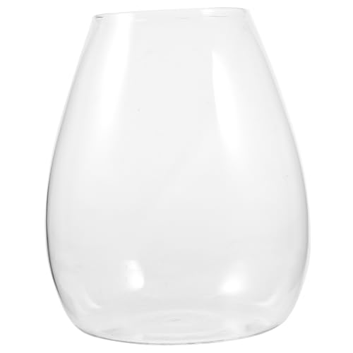 Cabilock Mikro-Landschaftsflasche Vase Desktop-Terrarium aus Glas Moos ökologische Flasche Töpfe für Pflanzen ökologische Glasflasche Flasche Moospflanze Luft Pflanzenflasche Anlage von Cabilock