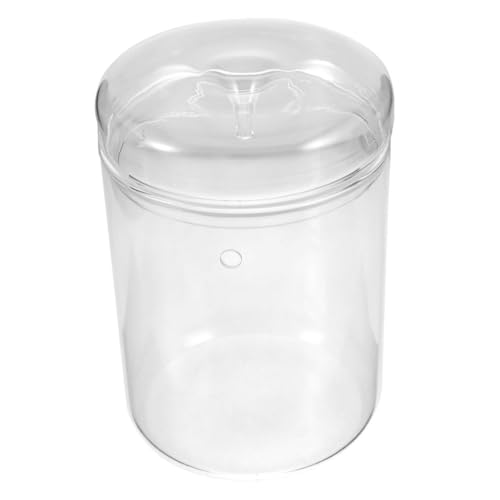 Cabilock Mikro Landschaftsglasflasche für Pflanzen und Moos DIY Terrarium für Kreative Tischdekoration Robustes und Stilvolles Design für Wohnzimmer Schlafzimmer und Badezimmer Glasgefäß von Cabilock