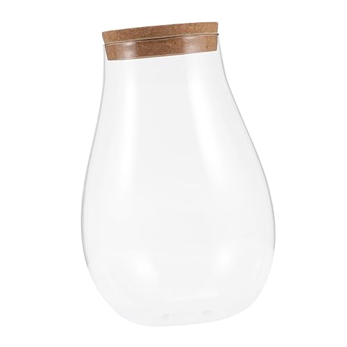 Cabilock Ökologische Mikrolandschaftsflasche Glasgefäße Mit Deckel Schreibtischaufsatz Vitrinenanzeige Kuppelglas Aus Glas Bryophyten-Cloche-Glas Wassertropfen Kleine Kerze Hölzern Cabilock Ökologische Mikrolandschaftsflasche Glasgefäße Mit Deckel Schreibtischaufsatz Vitrinenanzeige Kuppelglas Aus Glas Bryophyten-Cloche-Glas Wassertropfen Kleine Kerze Hölzern von Cabilock