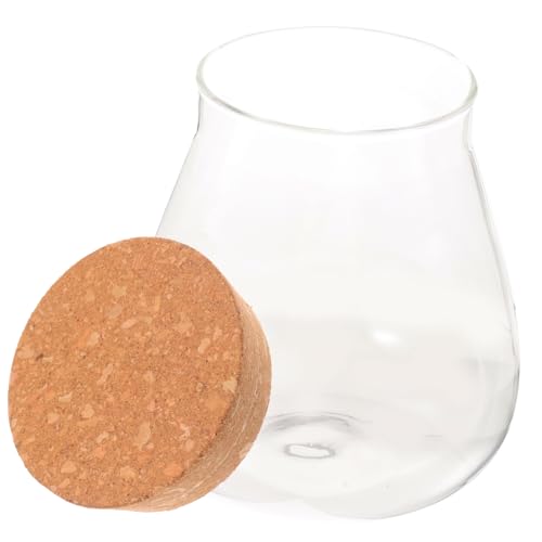 Cabilock Ökologische Mikrolandschaftsflasche Kork Terrarienflasche Kleine Gläser Mit Deckel Glas-Container Saftige Pflanzenblase Pflanzflasche Terrarium Hölzern Schreibtisch Kleines Glas von Cabilock