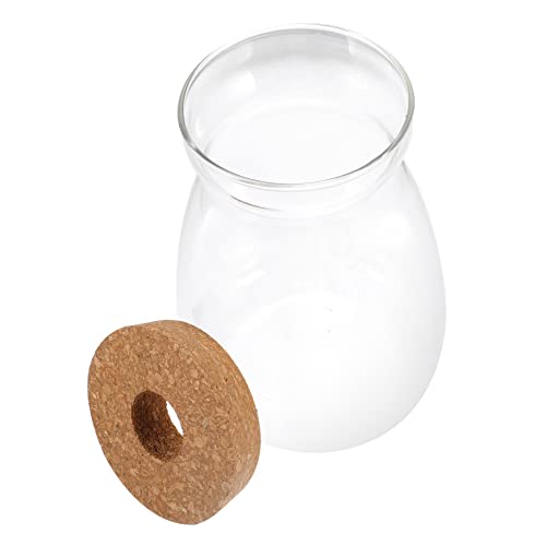 Cabilock Ökologische Mikrolandschaftsflasche System Pflanzentopf für drinnen winzige Behälter Pflanzenterrarium zimmerpflanzen Terrarienglas Mikro-Landschaftsbehälter hölzern Transparent von Cabilock