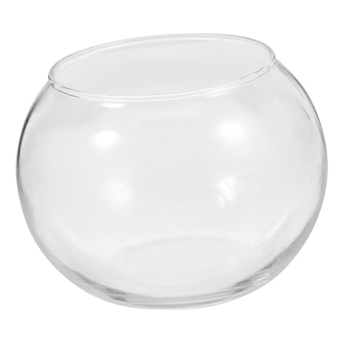 Cabilock Ornament Glas Tischdeckenklammern 2 übertopf Terrarium Luftpflanze Übertopf Microlandschaft Ökologische Flasche Übertopf für Dekoration 12Cm Sukkulenten Schreibtischaufsatz von Cabilock