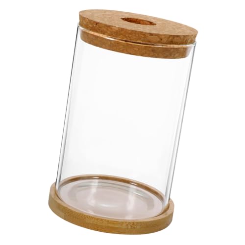 Cabilock Pflanze Terrarium Glas Terrarium Deckel Landschaft Flasche Blumentopf für Home Office von Cabilock