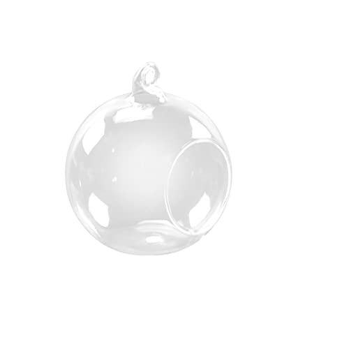 Cabilock Pflanzenterrarium Terrarium Mit Hängenden Pflanzen Terrarienkugel Wand Terrarium Wandhängendes Terrarium Einmachgläser Hängendes Terrarium Aus Glas Cabilock Pflanzenterrarium Terrarium Mit Hängenden Pflanzen Terrarienkugel Wand Terrarium Wandhängendes Terrarium Einmachgläser Hängendes Terrarium Aus Glas von Cabilock