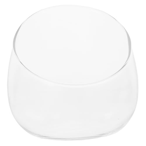 Cabilock SchräG Geschnittene Glasvase, Transparente Sukkulenten SchüSsel, Hoch Borosilikatglas Terrarium, Tischdeko FüR Zuhause, BüRo, Geschenk Cabilock SchräG Geschnittene Glasvase, Transparente Sukkulenten SchüSsel, Hoch Borosilikatglas Terrarium, Tischdeko FüR Zuhause, BüRo, Geschenk von Cabilock