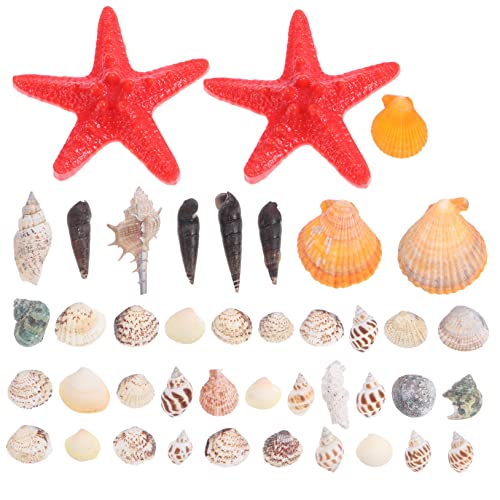 Cabilock Strandmuscheln Mit Natürlichen Muscheln Und Meeresschnecken Für Aquarien Mikrolandschaftsdekor DIY Handwerk Cabilock Strandmuscheln Mit Natürlichen Muscheln Und Meeresschnecken Für Aquarien Mikrolandschaftsdekor DIY Handwerk von Cabilock