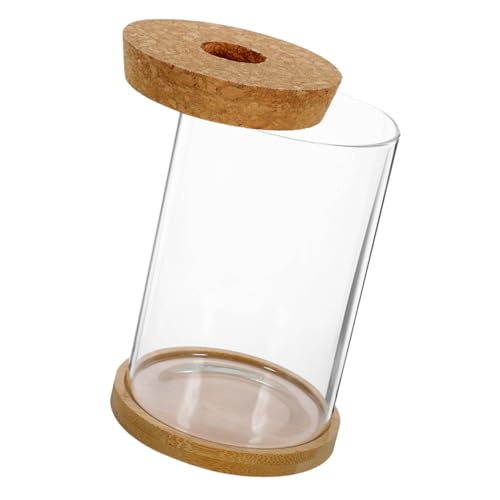 Cabilock Terrarium mit Holzstopfen Kleines Ökosystem Behälter für DIY Pflanzenlandschaft Transparentes Hydroponik Glasgefäß für Balkon Garten Schreibtisch Dekoration Cabilock Terrarium mit Holzstopfen Kleines Ökosystem Behälter für DIY Pflanzenlandschaft Transparentes Hydroponik Glasgefäß für Balkon Garten Schreibtisch Dekoration von Cabilock