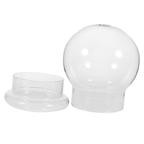 Cabilock Transparentes Glasterrarium Mit Kuppel Glasglocke Für Pflanzen Sukkulententerrarium Glaspflanzenterrarium Mikrolandschaftsbehälter von Cabilock