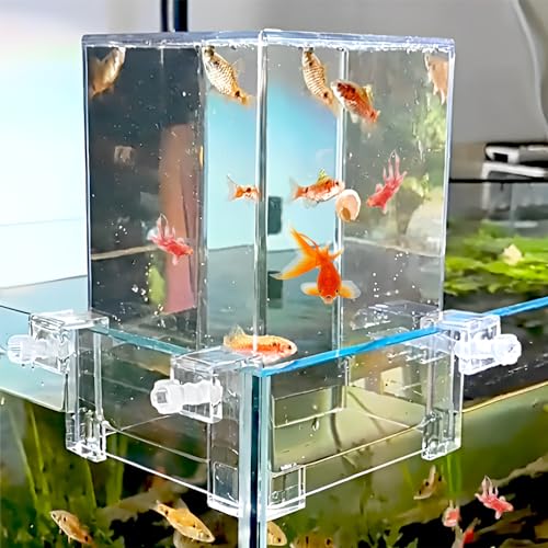 Cachpib Fischsäule Acryl Unterdruck Fischturm Luftverlängerungs Aquarium Vakuum-aufgehängtes Aquarium für die ökologische Landschaftsgestaltung, Bequeme Beobachtung von Cachpib
