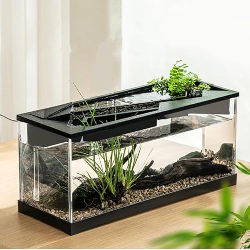 Cachpib Kleines Aquarium, Aquarium mit Wasserpumpe, transparente Abdeckung, ökologisches Zyklussystem, hochtransparentes Acryl, rechteckiges Aquarium für Wohnzimmer, mit integriertem Licht Cachpib Kleines Aquarium, Aquarium mit Wasserpumpe, transparente Abdeckung, ökologisches Zyklussystem, hochtransparentes Acryl, rechteckiges Aquarium für Wohnzimmer, mit integriertem Licht von Cachpib