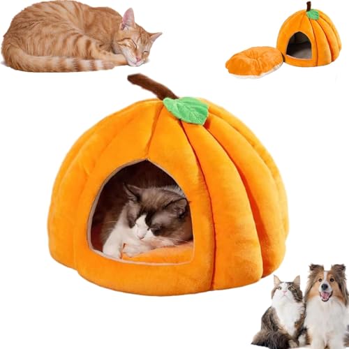 2024 Neues Halloween Kürbis Katzenbett, Katzenbetten für Indoor-Katzen, niedliches Katzenhöhlenbett im Kürbis-Stil, Katzenhauszelt für Katzen Hunde, halbgeschlossenes Haustiernest mit abnehmbarem 2024 Neues Halloween Kürbis Katzenbett, Katzenbetten für Indoor-Katzen, niedliches Katzenhöhlenbett im Kürbis-Stil, Katzenhauszelt für Katzen Hunde, halbgeschlossenes Haustiernest mit abnehmbarem von Caduola