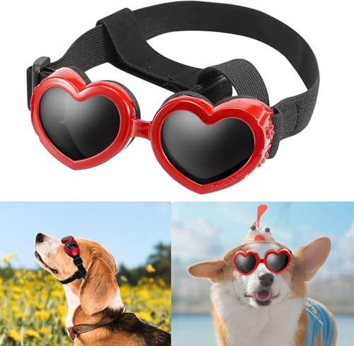 Hundebrille in Herzform, windabweisend, kleine Hunde-Sonnenbrille, Haustierbrille, stilvoll, niedlich, UV-Schutz, Sonnenbrille für Outdoor-Reiten und Spazierengehen, Rot Hundebrille in Herzform, windabweisend, kleine Hunde-Sonnenbrille, Haustierbrille, stilvoll, niedlich, UV-Schutz, Sonnenbrille für Outdoor-Reiten und Spazierengehen, Rot von Caduola