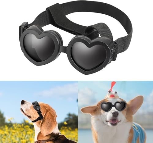 Hundebrille in Herzform, windabweisend, kleine Hunde-Sonnenbrille, Haustierbrille, stilvoll, niedlich, UV-Schutz, Sonnenbrille für Outdoor-Reiten und Spazierengehen, Schwarz Hundebrille in Herzform, windabweisend, kleine Hunde-Sonnenbrille, Haustierbrille, stilvoll, niedlich, UV-Schutz, Sonnenbrille für Outdoor-Reiten und Spazierengehen, Schwarz von Caduola