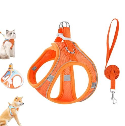 Stimulicat Katzengeschirr, ausbruchsichere Weste aus weichem Netzgewebe für Hauskatzen, seitliches No-Pull-Design, verstellbar und leicht mit reflektierenden Streifen, einfach zu tragen für Stimulicat Katzengeschirr, ausbruchsichere Weste aus weichem Netzgewebe für Hauskatzen, seitliches No-Pull-Design, verstellbar und leicht mit reflektierenden Streifen, einfach zu tragen für von Caduola