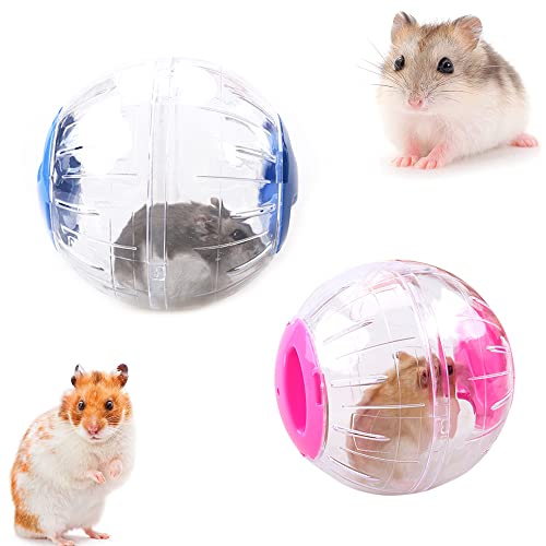 2 Stück Hamster läuft Ball, Hamster Übungsrad, Transparent Hamsterrad Laufkugel, Hamster Run Ball, Kunststoff Hamster Spielzeug, für Chinchilla, Rennmäuse und andere Kleintiere (12cm) von CaiYuanGJ