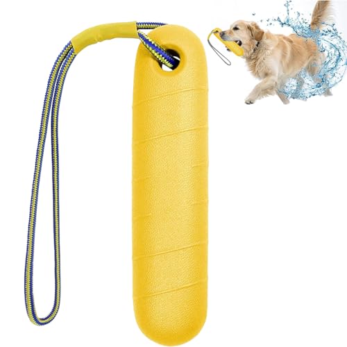 Hundespielzeug, Sehr Robustes Hundespielzeug Zum Training, Schwimm Spielzeug für Hunde, 22cm, Mit Rope, Apportierspielzeug für Hunde, Trainieren Und Apportieren, für Mittelgroße, Große Hunde von CaiYuanGJ