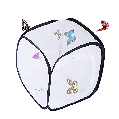 Schmetterling Habitat, Insektenkäfig, Insekten Habitat Käfig, ISchmetterlingskäfig, Mesh Insekten Pflanze Käfig, für Schmetterling, Insektenhabitat, Sämlingszucht (30 * 30 * 30cm) von CaiYuanGJ