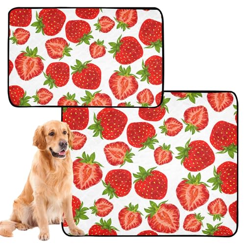 Hunde-Uriniermatte, waschbar, rutschfest, für Autositz, 61 x 91,4 cm + 91,4 x 106,7 cm, natürliche frische Bio-Gartenerdbeere, 2 Stück von Caihoyu