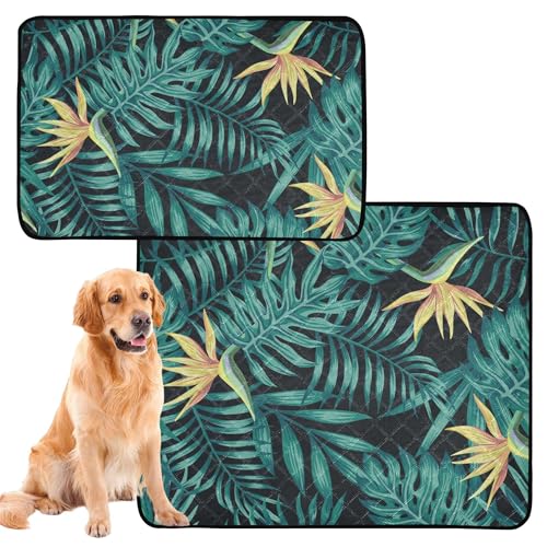 Hunde-Uriniermatten, extra groß, waschbar, rutschfest, für Rasen, 61 x 91,4 cm + 91,4 x 106,7 cm, tropische Palme, Monstera-Farnblätter, Blau / Gold, 2 Stück Hunde-Uriniermatten, extra groß, waschbar, rutschfest, für Rasen, 61 x 91,4 cm + 91,4 x 106,7 cm, tropische Palme, Monstera-Farnblätter, Blau / Gold, 2 Stück von Caihoyu