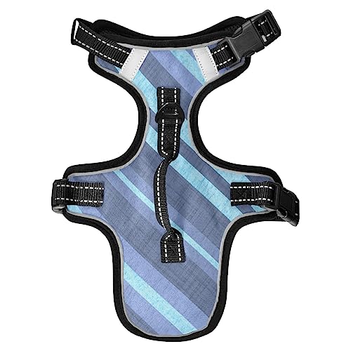 Hundegeschirr für mittelgroße Hunde, verstellbar, mit Leine, reflektierender Frontclip, Weste mit Griff, einfache Kontrolle, Hunde, Katzen, Spaziergänge im Freien, blaue diagonale Streifen Hundegeschirr für mittelgroße Hunde, verstellbar, mit Leine, reflektierender Frontclip, Weste mit Griff, einfache Kontrolle, Hunde, Katzen, Spaziergänge im Freien, blaue diagonale Streifen von Caihoyu