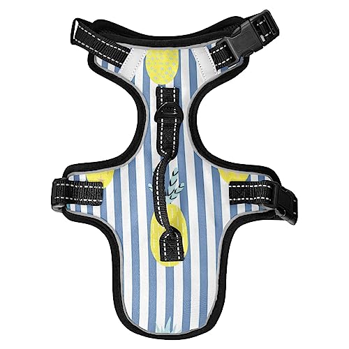 Hundegeschirr für mittelgroße Hunde, verstellbar, mit Leine, reflektierender Frontclip, Weste mit Griff, einfache Kontrolle, Hunde, Katzen, Spaziergänge im Freien, gelbe Ananas Hundegeschirr für mittelgroße Hunde, verstellbar, mit Leine, reflektierender Frontclip, Weste mit Griff, einfache Kontrolle, Hunde, Katzen, Spaziergänge im Freien, gelbe Ananas von Caihoyu