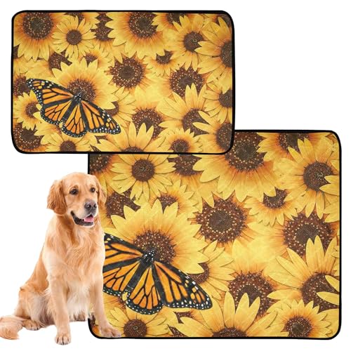Hundematte, waschbar, rutschfest, 50,8 x 61 cm, Monarchhütte, Schmetterling, Danaus Plexippus, schön, 3 Stück Hundematte, waschbar, rutschfest, 50,8 x 61 cm, Monarchhütte, Schmetterling, Danaus Plexippus, schön, 3 Stück von Caihoyu