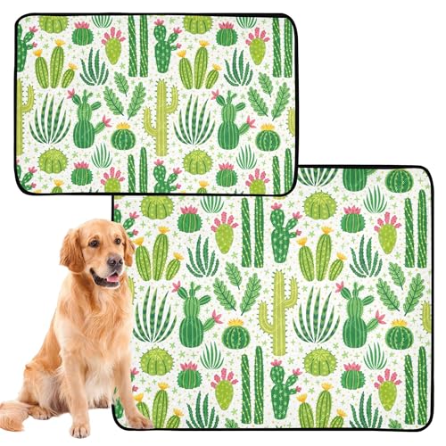 Hundematte, waschbar, rutschfest, 61 x 91,4 cm + 91,4 x 106,7 cm, verschiedene westliche Kaktuspflanzen, Mexikana, hell, 2 Stück Hundematte, waschbar, rutschfest, 61 x 91,4 cm + 91,4 x 106,7 cm, verschiedene westliche Kaktuspflanzen, Mexikana, hell, 2 Stück von Caihoyu