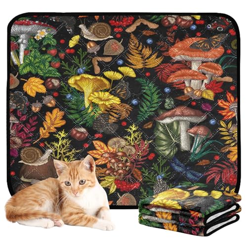 Hundematte, waschbar, rutschfest, für Autositz, 61 x 91,4 cm + 91,4 x 106,7 cm, nahtlos, Pilze, Pflanzen, Insekten, Schnecken, 2 Stück Hundematte, waschbar, rutschfest, für Autositz, 61 x 91,4 cm + 91,4 x 106,7 cm, nahtlos, Pilze, Pflanzen, Insekten, Schnecken, 2 Stück von Caihoyu
