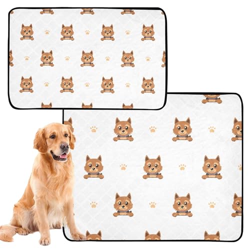 Hundematte für Katzen, waschbar, rutschfest, für Reisen, 50,8 x 61 cm, Cartoon-Figur, Norwich Terrier, niedlicher Hund, 3 Stück Hundematte für Katzen, waschbar, rutschfest, für Reisen, 50,8 x 61 cm, Cartoon-Figur, Norwich Terrier, niedlicher Hund, 3 Stück von Caihoyu