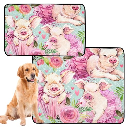 Hundewaschbarer Teppich groß, abwaschbar, Anti-Rutsch-Matte für den Strand 50 x 61 cm, niedliches Schweinchen, Aquarell Muster, Tier, 3 Stück Hundewaschbarer Teppich groß, abwaschbar, Anti-Rutsch-Matte für den Strand 50 x 61 cm, niedliches Schweinchen, Aquarell Muster, Tier, 3 Stück von Caihoyu
