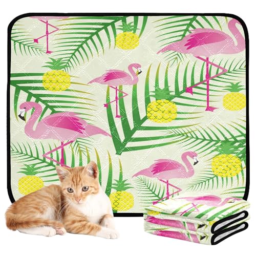 Katzen-Haustier-Matte, für Boden, Hund, rutschfest, für Boden, 61 x 91,4 cm + 91,4 x 106,7 cm, tropischer Flamingo, Hoffnungsblatt, Ananas, tropisches Hawaii, 2 Stück Katzen-Haustier-Matte, für Boden, Hund, rutschfest, für Boden, 61 x 91,4 cm + 91,4 x 106,7 cm, tropischer Flamingo, Hoffnungsblatt, Ananas, tropisches Hawaii, 2 Stück von Caihoyu