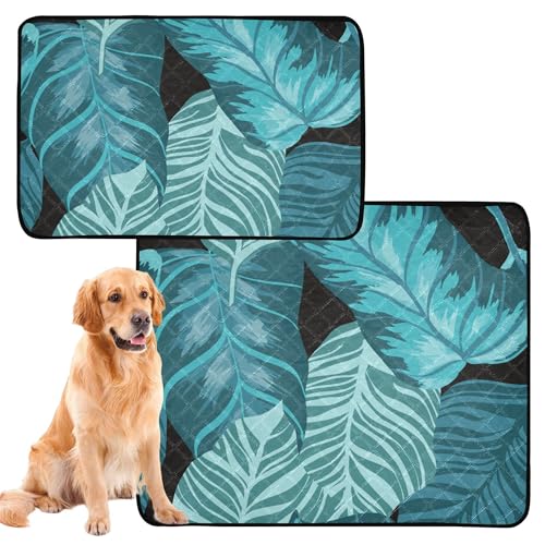 Katzen-Haustiermatte, schmutzige Matten für Hunde, groß, waschbar, rutschfeste Matte für draußen, 50,8 x 61 cm, blaues Monstera-Blattpalme, tropisches Muster, 3 Stück Katzen-Haustiermatte, schmutzige Matten für Hunde, groß, waschbar, rutschfeste Matte für draußen, 50,8 x 61 cm, blaues Monstera-Blattpalme, tropisches Muster, 3 Stück von Caihoyu